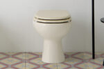 Coprivaso WC Champagne e Bianco - Young