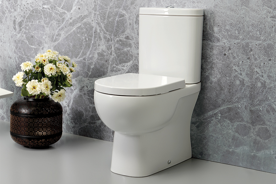 VA2463+CA2464 Vaso Monoblocco con Scarico Universale - SALLY - immagine 1