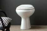 Vaso Scarico a Parete- Fly